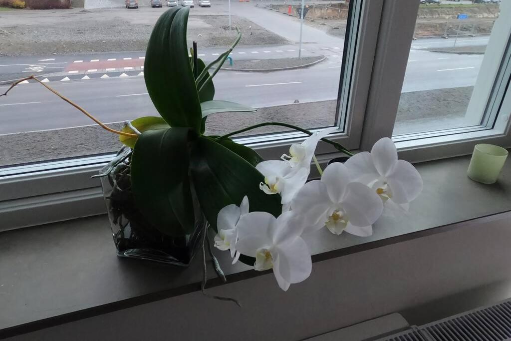 Homestay - Private Room In An Apartment Gothenburg Ngoại thất bức ảnh